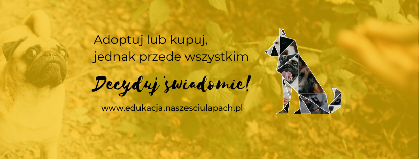 //pomoc.naszesciulapach.pl/wp-content/uploads/sites/4/2019/12/Decyduj-swiadomie-1.png